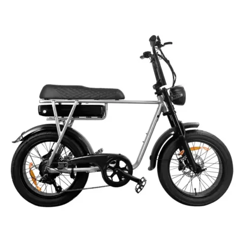 EB2 fatbike zilver 250W