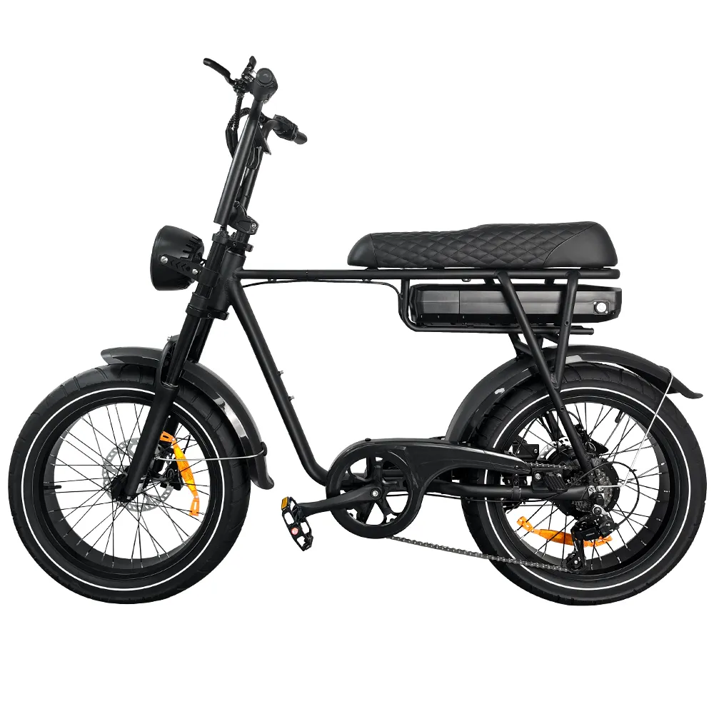 EB2 Pro elektrische fatbike zwart zijaanzicht