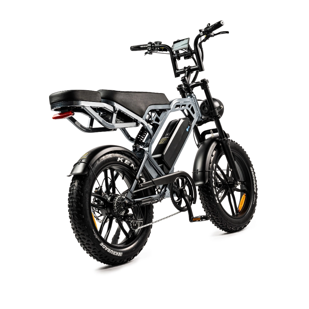 V20 Pro elektrische fatbike donkergrijs