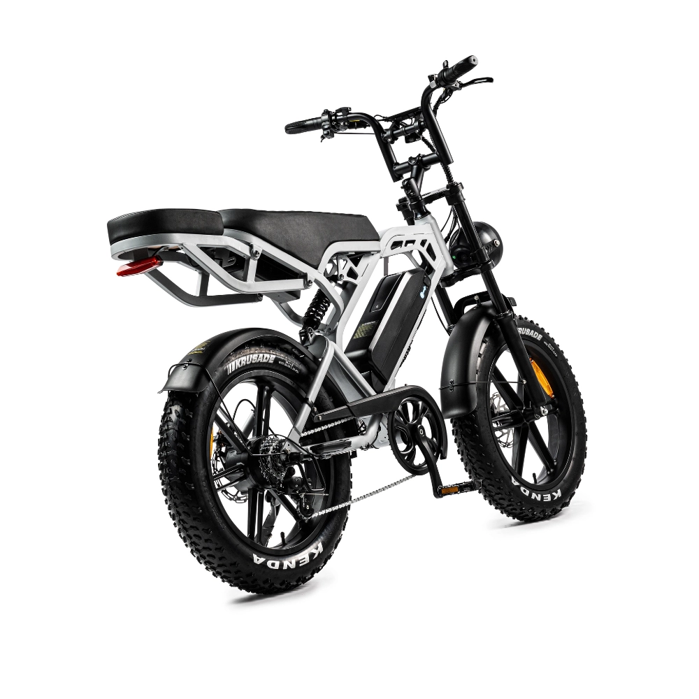 V20 Pro elektrische fatbike lichtgrijs