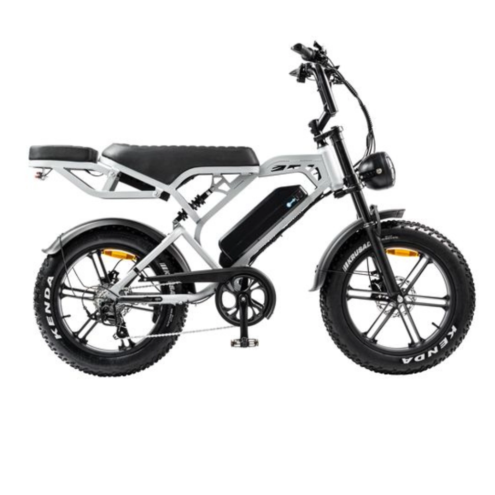 V20 Pro fatbike lichtgrijs 250W