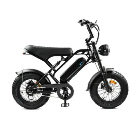 V20 Pro Mini fatbike zwart 250W