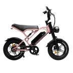 Mini fatbike